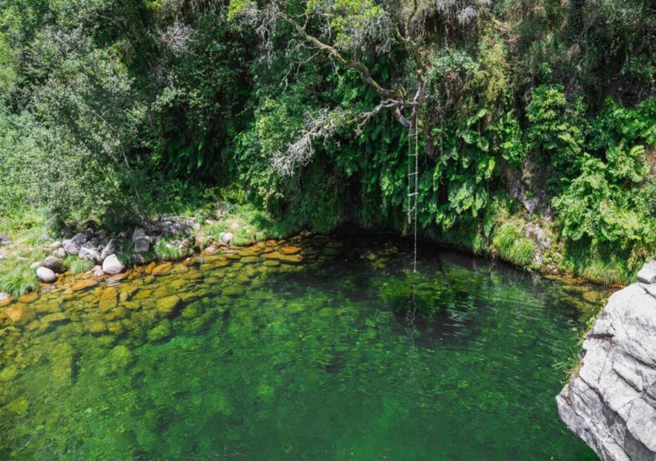 索茹Casa Da Carrasqueira别墅 外观 照片